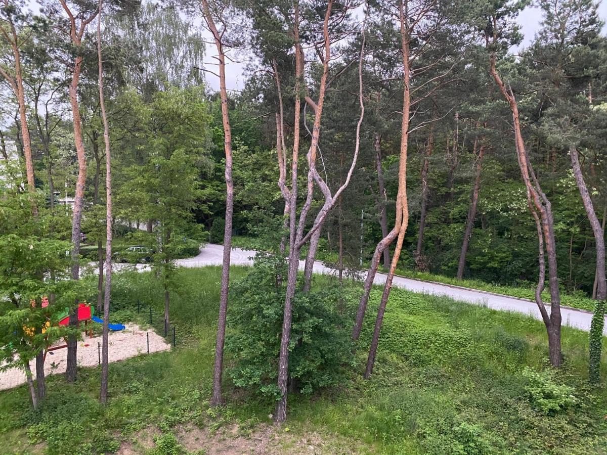 Family & Business Sauna No 6 Lesny Nad Zalewem Cedzyna - 1 Bedroom With Private Sauna, Terrace, Parking, Catering Options Апартаменти