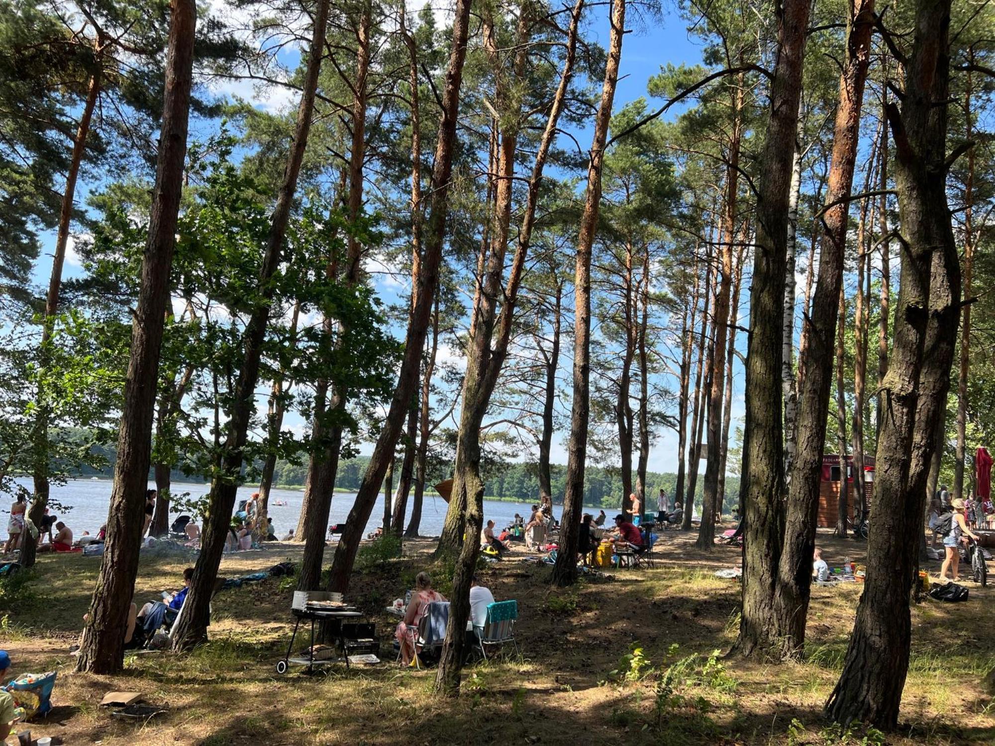 Family & Business Sauna No 6 Lesny Nad Zalewem Cedzyna - 1 Bedroom With Private Sauna, Terrace, Parking, Catering Options Апартаменти